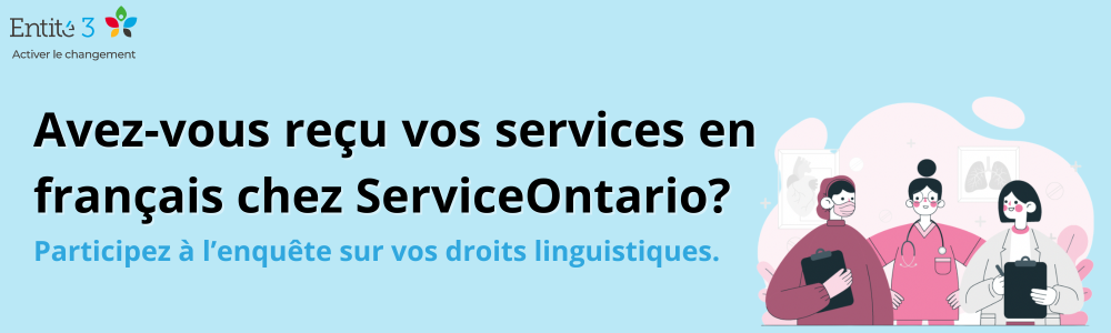 Entité3 enquête services en français
